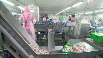 慶云和美食品銷售額突破2億元，產業(yè)興旺助力周邊就業(yè)改善